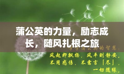 蒲公英的力量，勵(lì)志成長(zhǎng)，隨風(fēng)扎根之旅