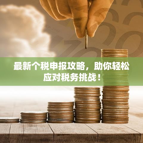 最新個(gè)稅申報(bào)攻略，助你輕松應(yīng)對(duì)稅務(wù)挑戰(zhàn)！