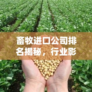 畜牧進口公司排名揭秘，行業(yè)影響力深度解析