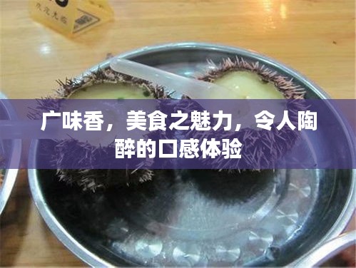 虎視眈眈 第2頁