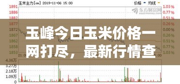 玉峰今日玉米價(jià)格一網(wǎng)打盡，最新行情查詢