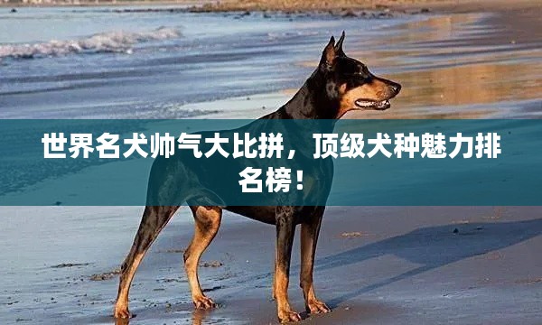 暗室屋漏 第3頁