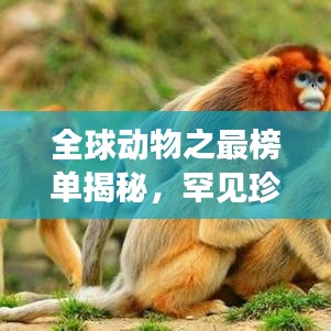全球動物之最榜單揭秘，罕見珍稀生物震撼排名！