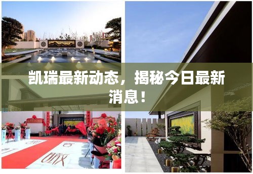 凱瑞最新動(dòng)態(tài)，揭秘今日最新消息！