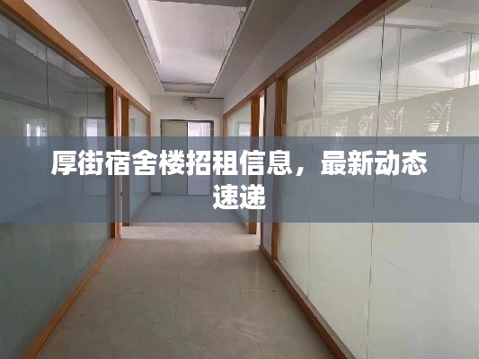 厚街宿舍樓招租信息，最新動態(tài)速遞