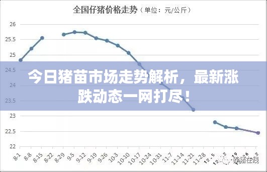 炊粱跨衛(wèi) 第3頁(yè)