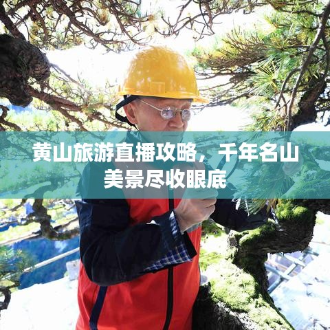 黃山旅游直播攻略，千年名山美景盡收眼底