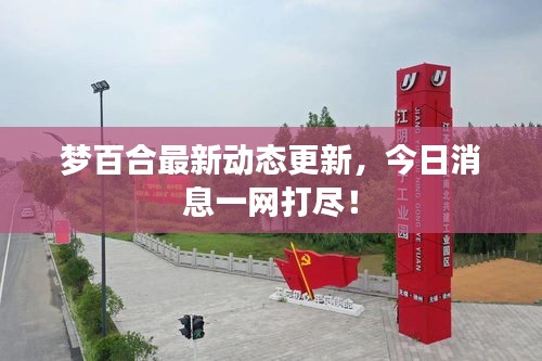 夢百合最新動態(tài)更新，今日消息一網(wǎng)打盡！