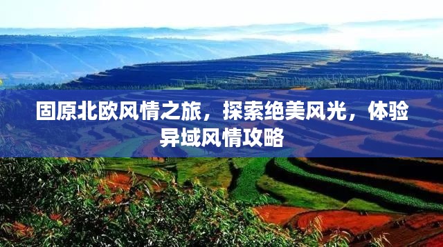 固原北歐風情之旅，探索絕美風光，體驗異域風情攻略