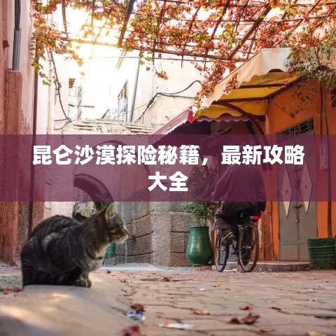 昆侖沙漠探險(xiǎn)秘籍，最新攻略大全