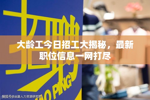 大齡工今日招工大揭秘，最新職位信息一網(wǎng)打盡