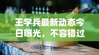 王學兵最新動態(tài)今日曝光，不容錯過！