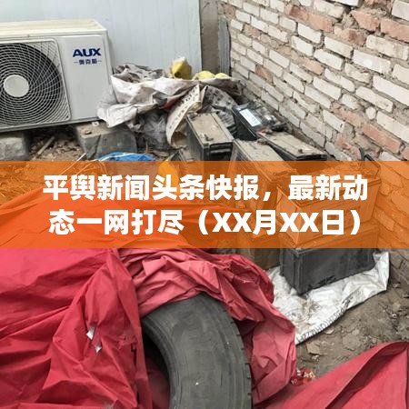 平輿新聞頭條快報，最新動態(tài)一網(wǎng)打盡（XX月XX日）