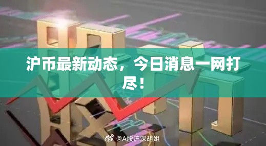 滬幣最新動(dòng)態(tài)，今日消息一網(wǎng)打盡！