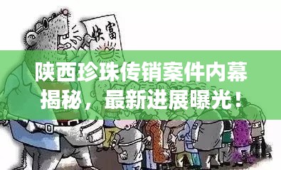 陜西珍珠傳銷案件內(nèi)幕揭秘，最新進展曝光！