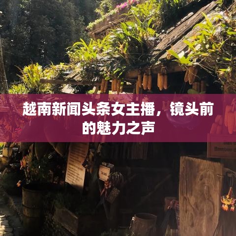 越南新聞頭條女主播，鏡頭前的魅力之聲