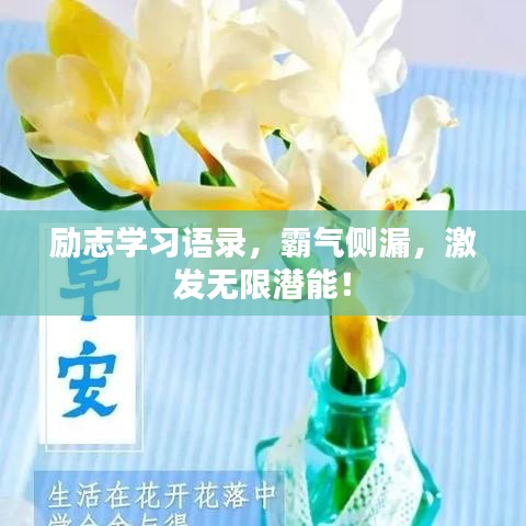 勵(lì)志學(xué)習(xí)語(yǔ)錄，霸氣側(cè)漏，激發(fā)無(wú)限潛能！