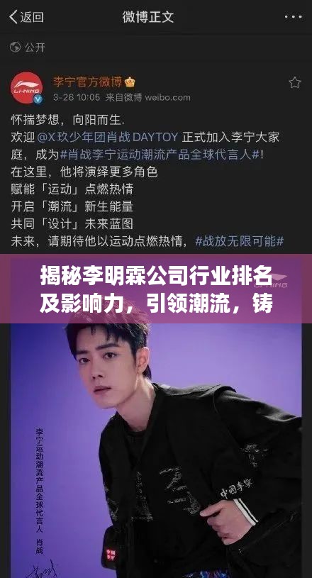揭秘李明霖公司行業(yè)排名及影響力，引領(lǐng)潮流，鑄就傳奇！