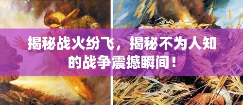 揭秘戰(zhàn)火紛飛，揭秘不為人知的戰(zhàn)爭震撼瞬間！
