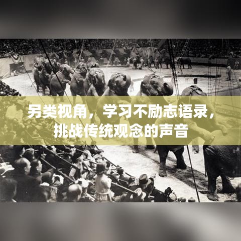 另類視角，學(xué)習(xí)不勵(lì)志語錄，挑戰(zhàn)傳統(tǒng)觀念的聲音