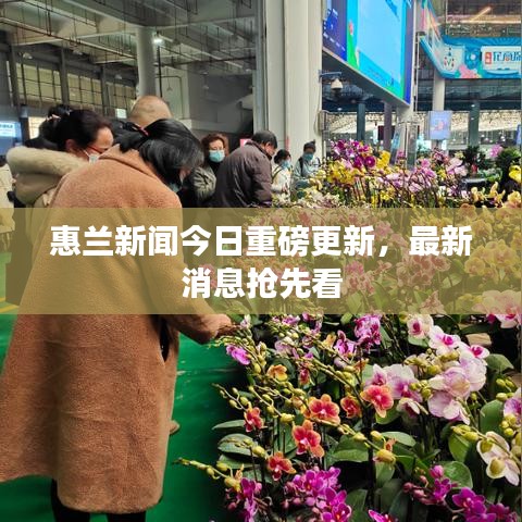 惠蘭新聞今日重磅更新，最新消息搶先看