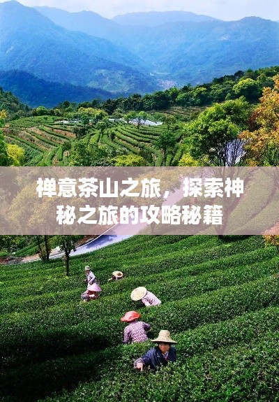 禪意茶山之旅，探索神秘之旅的攻略秘籍
