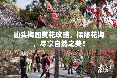 汕頭梅園賞花攻略，探秘花海，盡享自然之美！