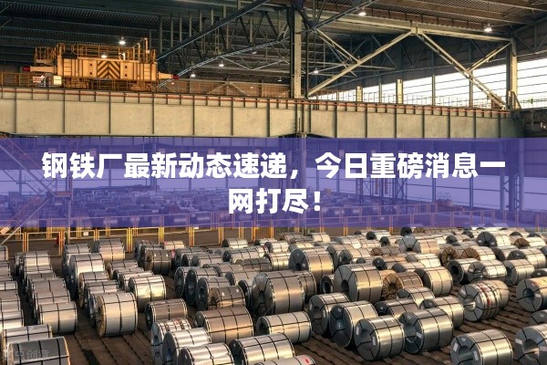 鋼鐵廠最新動(dòng)態(tài)速遞，今日重磅消息一網(wǎng)打盡！