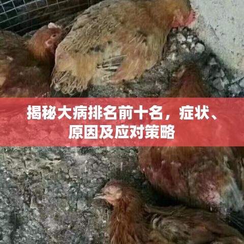 揭秘大病排名前十名，癥狀、原因及應(yīng)對策略