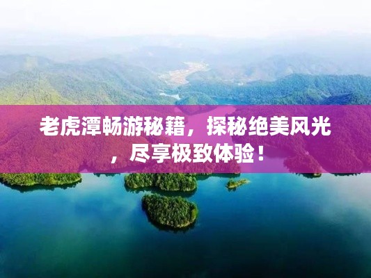 越鳥南棲 第2頁
