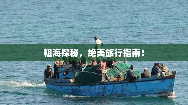 粗海探秘，絕美旅行指南！