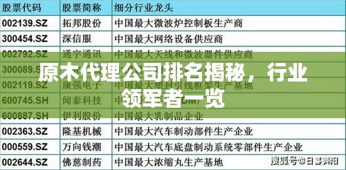 原木代理公司排名揭秘，行業(yè)領(lǐng)軍者一覽