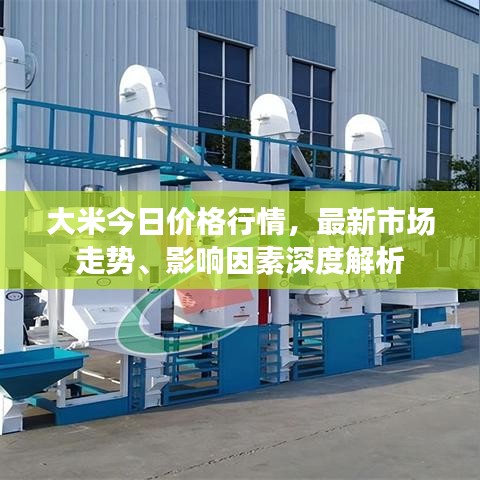 大米今日價格行情，最新市場走勢、影響因素深度解析