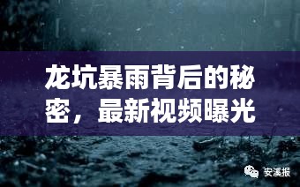 龍坑暴雨背后的秘密，最新視頻曝光，揭示驚人真相！