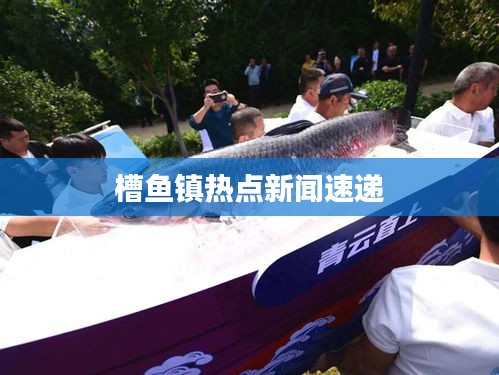 槽魚(yú)鎮(zhèn)熱點(diǎn)新聞速遞
