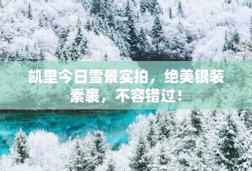 凱里今日雪景實拍，絕美銀裝素裹，不容錯過！