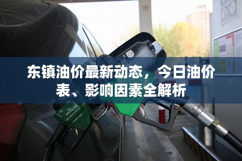 東鎮(zhèn)油價最新動態(tài)，今日油價表、影響因素全解析