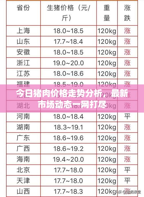 今日豬肉價(jià)格走勢(shì)分析，最新市場(chǎng)動(dòng)態(tài)一網(wǎng)打盡