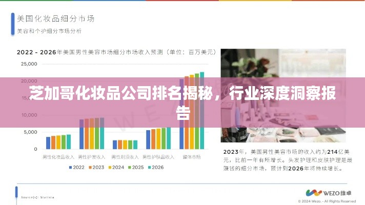 芝加哥化妝品公司排名揭秘，行業(yè)深度洞察報(bào)告