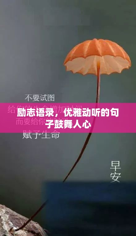 勵志語錄，優(yōu)雅動聽的句子鼓舞人心