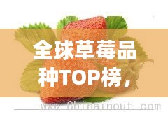 全球草莓品種TOP榜，十大草莓品種爭(zhēng)奇斗艷！