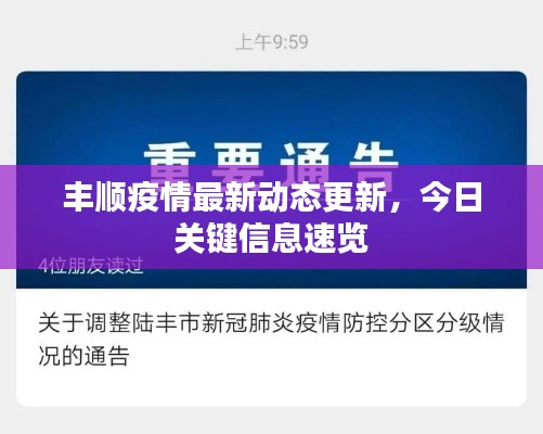 豐順疫情最新動態(tài)更新，今日關鍵信息速覽