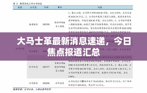大馬士革最新消息速遞，今日焦點報道匯總