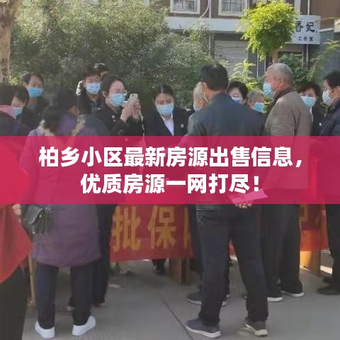 柏鄉(xiāng)小區(qū)最新房源出售信息，優(yōu)質(zhì)房源一網(wǎng)打盡！