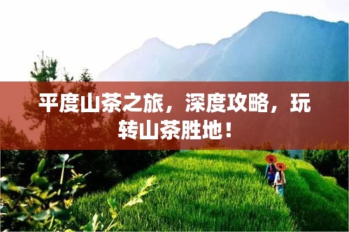 平度山茶之旅，深度攻略，玩轉(zhuǎn)山茶勝地！