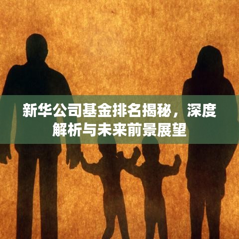 新華公司基金排名揭秘，深度解析與未來(lái)前景展望