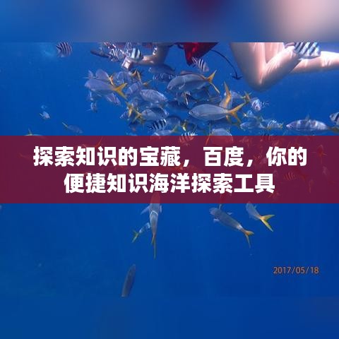 探索知識的寶藏，百度，你的便捷知識海洋探索工具