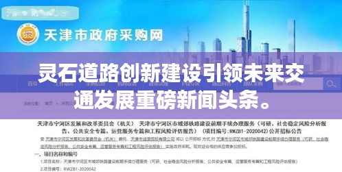 慎重其事 第2頁