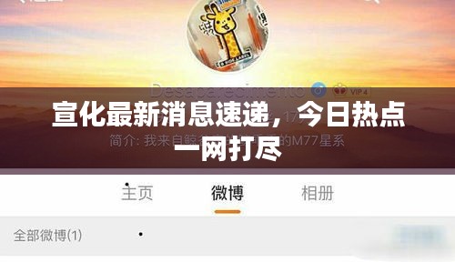 宣化最新消息速遞，今日熱點(diǎn)一網(wǎng)打盡