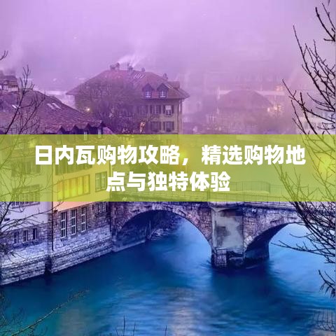 日內(nèi)瓦購(gòu)物攻略，精選購(gòu)物地點(diǎn)與獨(dú)特體驗(yàn)